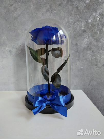 Синяя роза в колбе