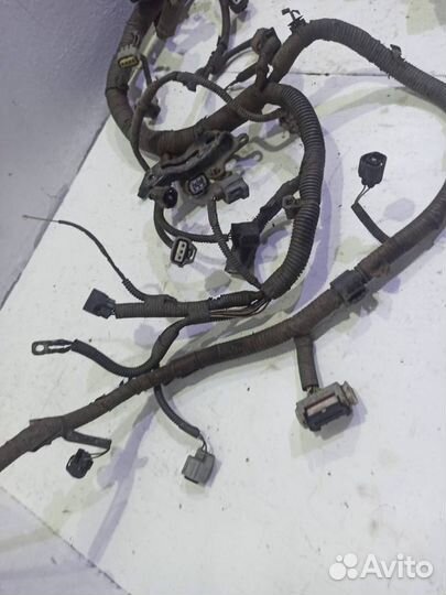 Проводка (коса) Лексус GS 3