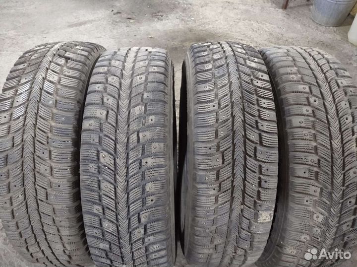 Estrada Winterri Wolf Energy 195/65 R15
