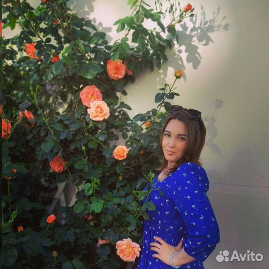 Администратор