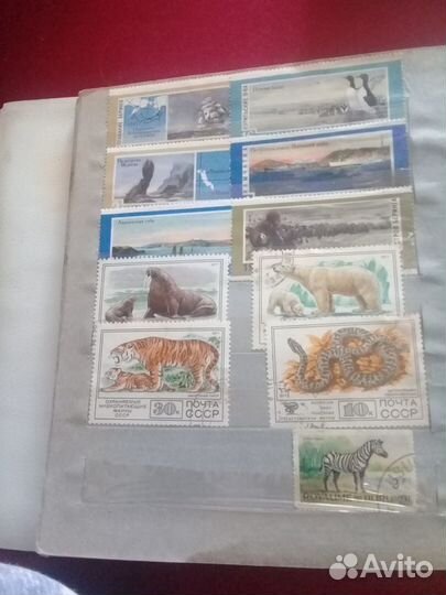 Почтовые марки