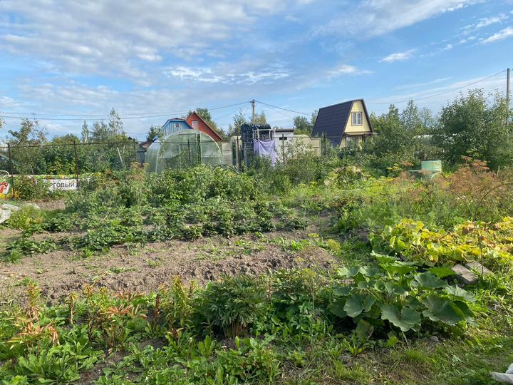 Участок 5 сот. (СНТ, ДНП)