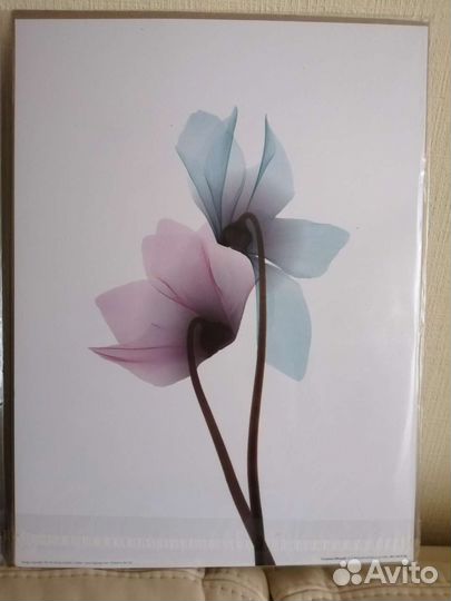 Набор из 3х постеров