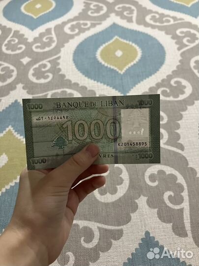 Монеты и банкноты разных стран