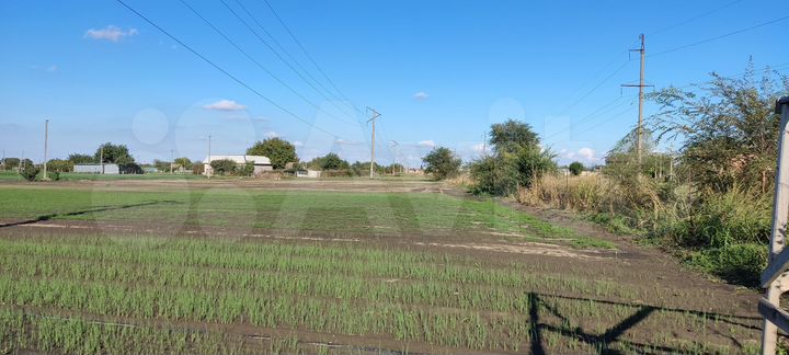 Участок 36 сот. (СНТ, ДНП)