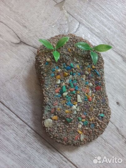 Островок для черепахи