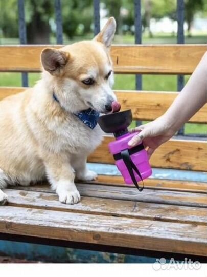 Поилка для животных