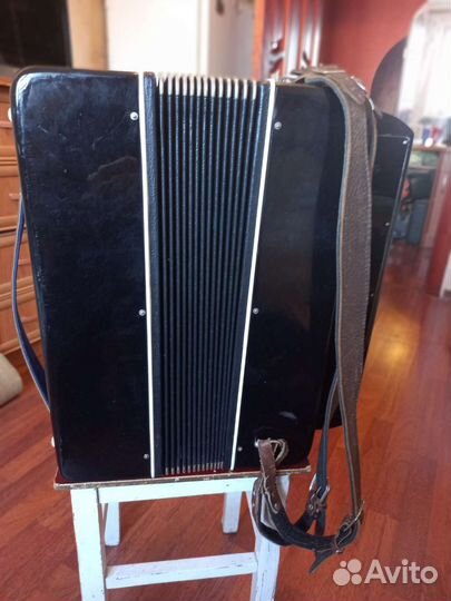 Баян Рубин6