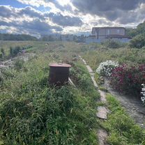 Дом 37,5 м² на участке 12 сот.