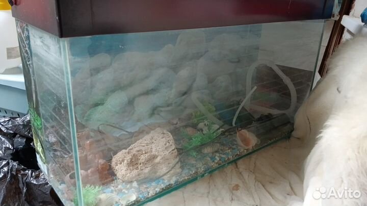 Аквариум 100 л