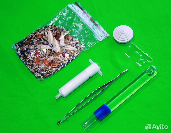 Муравьиная ферма