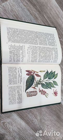 Лекарственные растения СССР и их применение