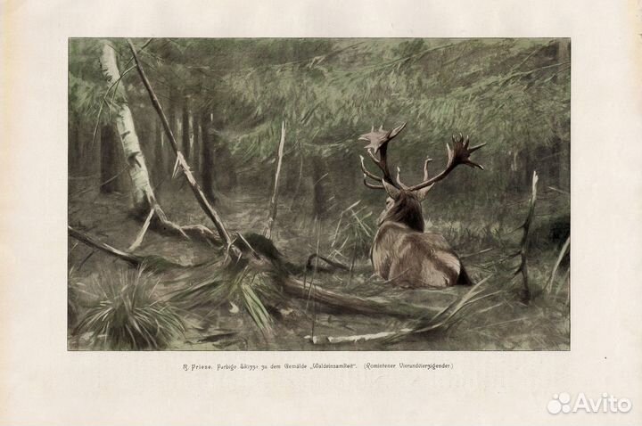 Литография. Охота. Олени. Лоси. Заяц