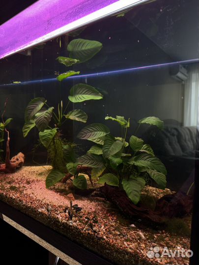 Аквариум с тумбой