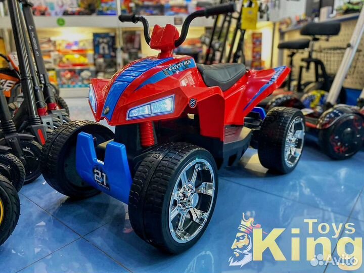 Электроквадроцикл T555TT