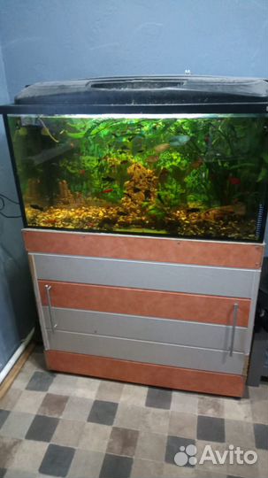 Аквариум с тумбой 200 литров