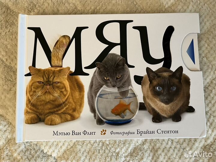 Мэтью ван флит мяу