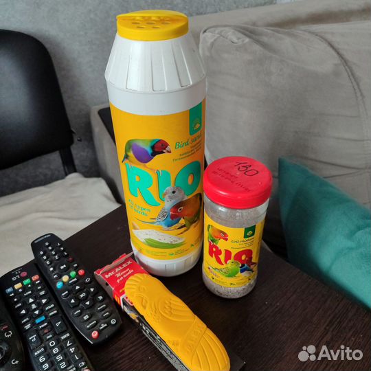 Попугай корелла