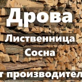 Дрова лиственница/сосна