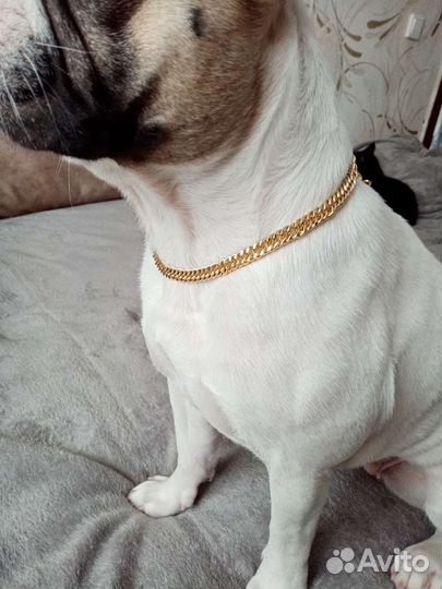 Ошейник украшение для собак и кошек