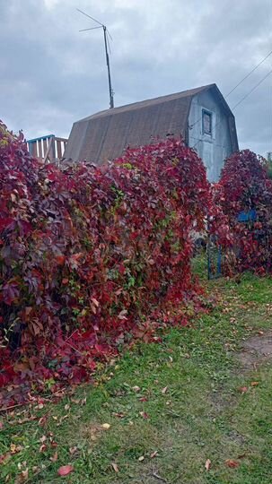 Дом 32 м² на участке 8 сот.