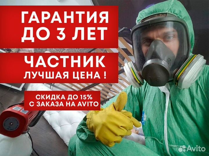 Уничтожение клопов, тараканов, блох, муравьев