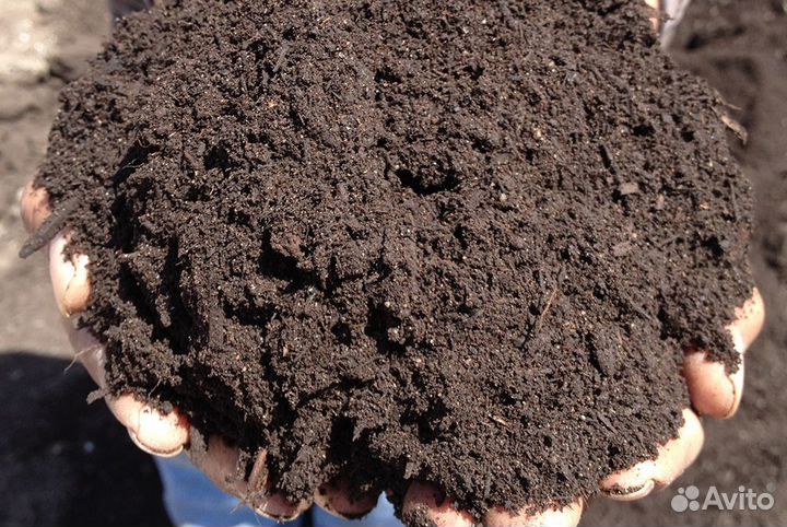 Торф доставка газоном