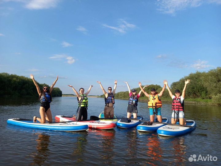 Прокат сап бордов