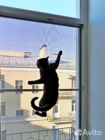 Москитные сетки антикошка на заказ