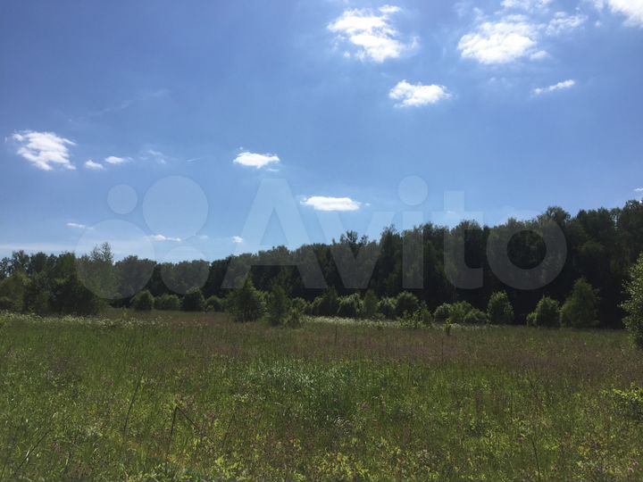 Участок 6 га (СНТ, ДНП)