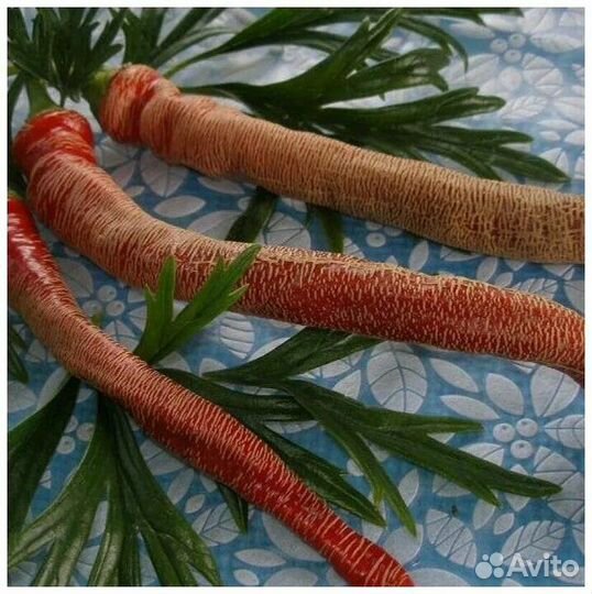 Семена острых перцев