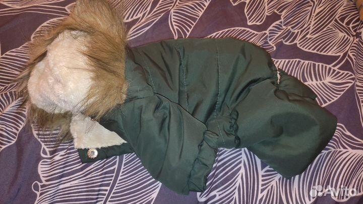 Зимний комбинезон для маленькой собаки