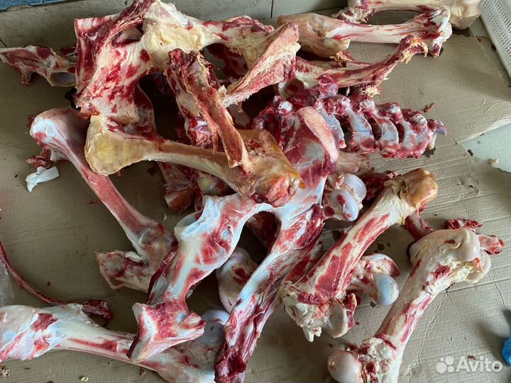 Кости говядина для собак