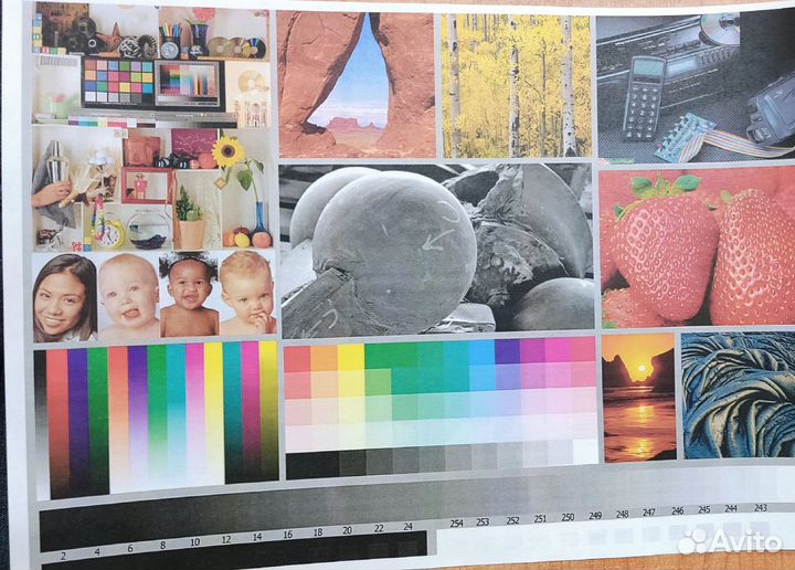 Мфу лазерный цветной Kyocera Ecosys M5521cdn