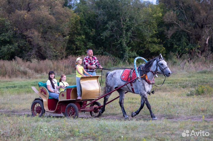 Катание на лошадках