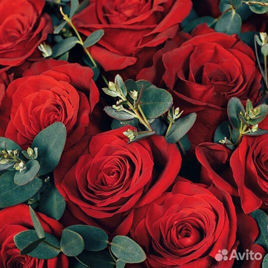 Розы оптом про-во Россия (Уральская роза)