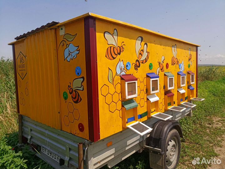 Хобби продажа пчёл и улии