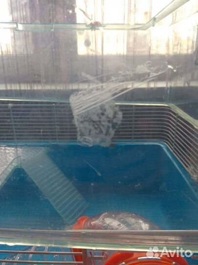 Клетка для хомяка ferplast