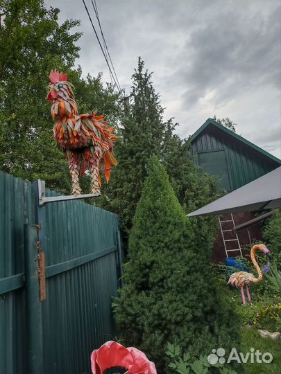 Бойцовые петухи