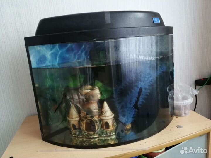Аквариум