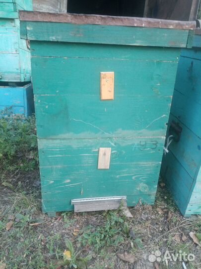 Ульи для пчел