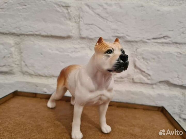 Стаффордширский терьер