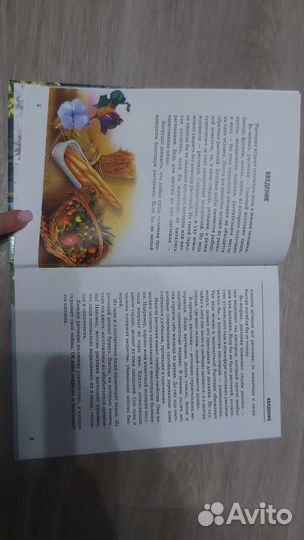 Энциклопедия