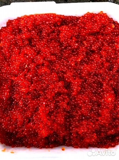 Красная Икра кеты - 2023 оптом