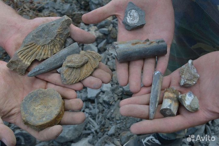 Геопарк Ундория. 12 ноября 2023