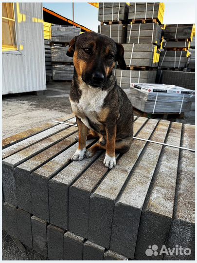 Тротуарная плитка ГОСТ заказ от 120 м2