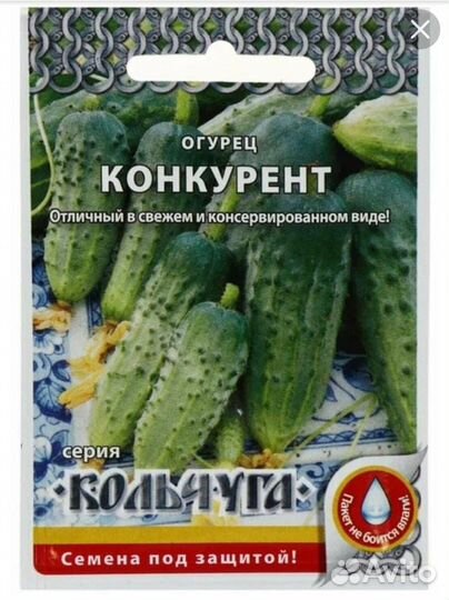 Рассада огурцов