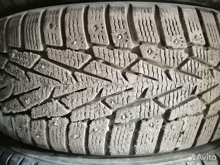 Nokian Tyres Nordman 7 205/50 R17