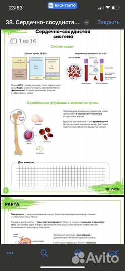 Репетитор по биологии