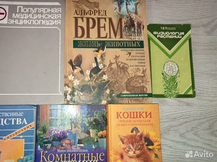 Энциклопедия Кто есть кто Ребёнок авто Брем кошки